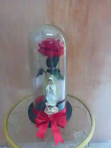 Rosas Preservadas Con Virgen