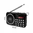 Radio Bolsillo Usb Fm| Am Recargable Teclado Premium Sp-014am