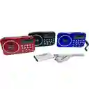 Radio Bolsillo Usb Fm| Am Recargable Teclado Premium Sp-014am