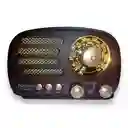 Radio Portatil Fox-tech Fx-194bt Am Fm Bluetooth Usb 1200mah