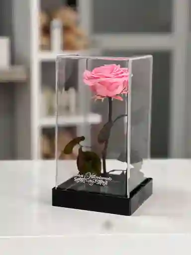 Preservada Acrilica