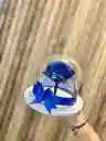 Preservada Mini Cristal