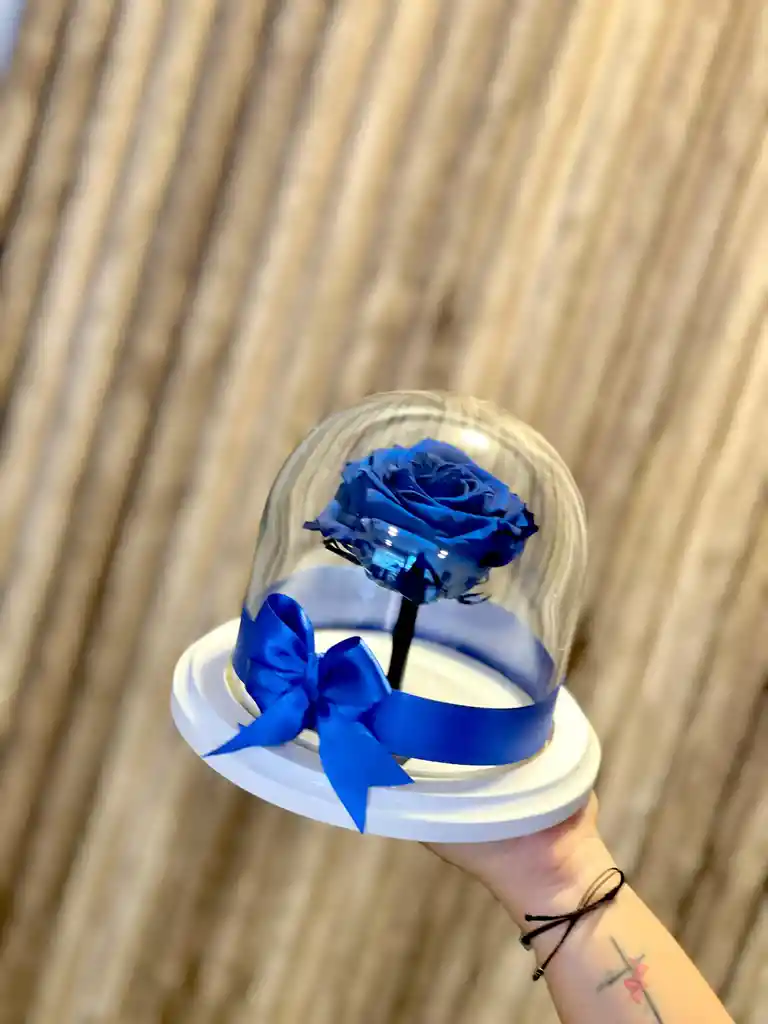 Preservada Mini Cristal