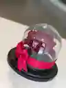 Preservada Mini Cristal