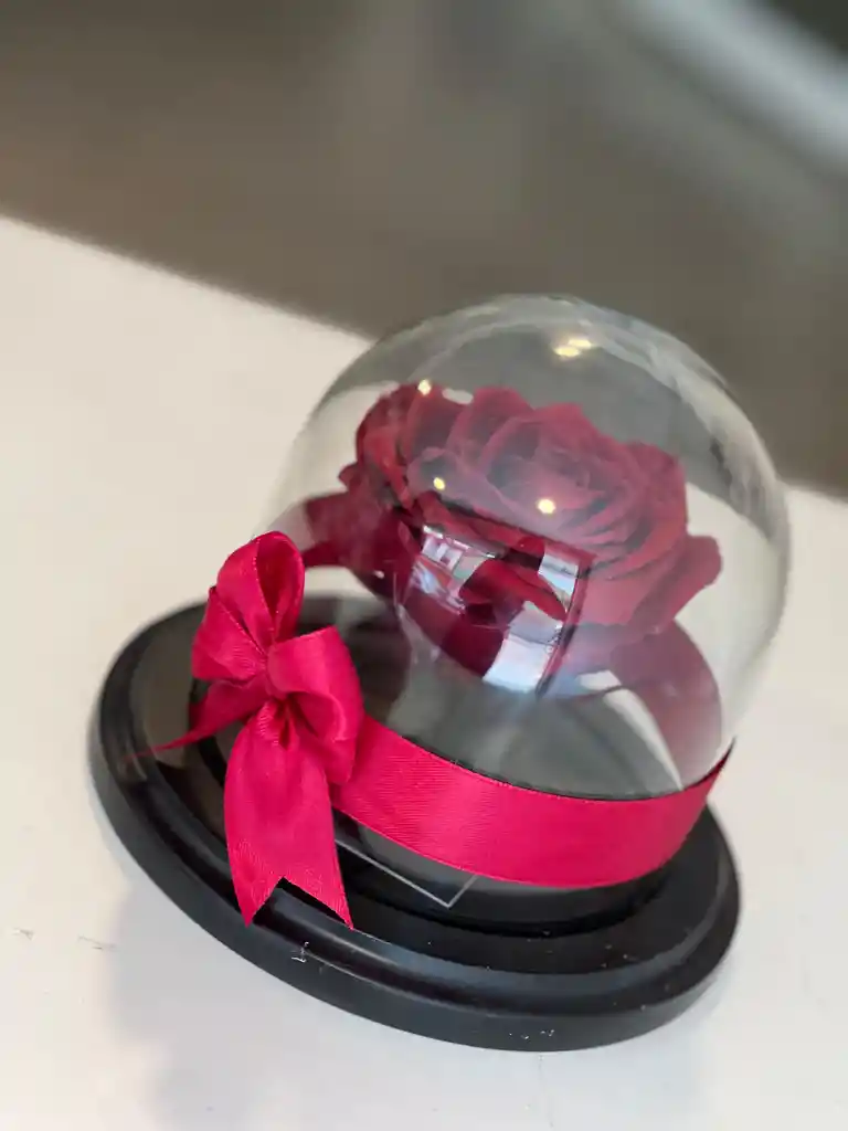 Preservada Mini Cristal
