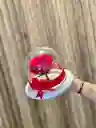 Preservada Mini Cristal