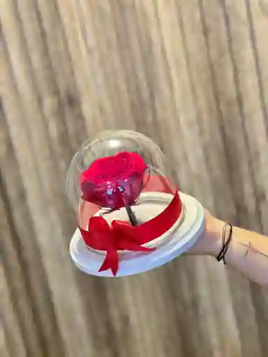 Preservada Mini Cristal