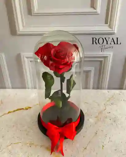 Rosa Preservada En Forma De Corazón