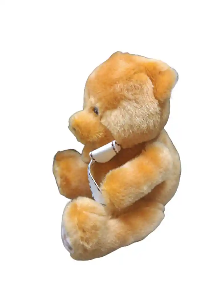 Peluche Oso Café Pequeño Con Moño