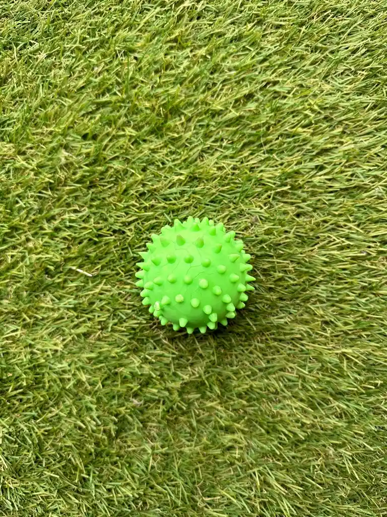 Pelota Maciza Masajeadora Para Perro - 6.3 Cm - Verde