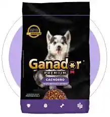 Ganador Premium Cachorro 2kg