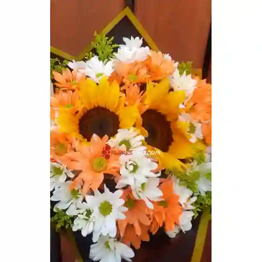 Bouquet Girasol Y Margarita Surtida