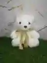 Peluche Oso Blanco