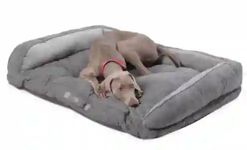 Cama Totto Para Perro Alina M Gris Grande