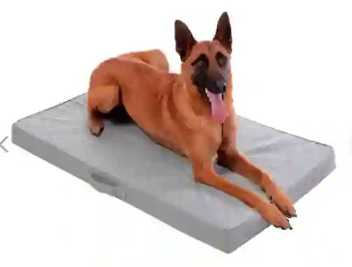 Cama Totto Para Perro Danko Gris Grande