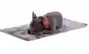 Cama Totto Portatil Plegable Sherpy L Grande Gris