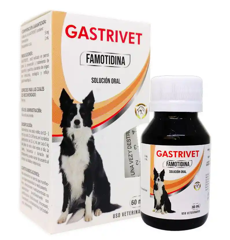 Gastrivet Oral X 60 Ml (famotidina)