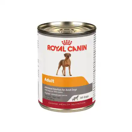 Royal Canin Chn Adult Lata 0.385 Kg