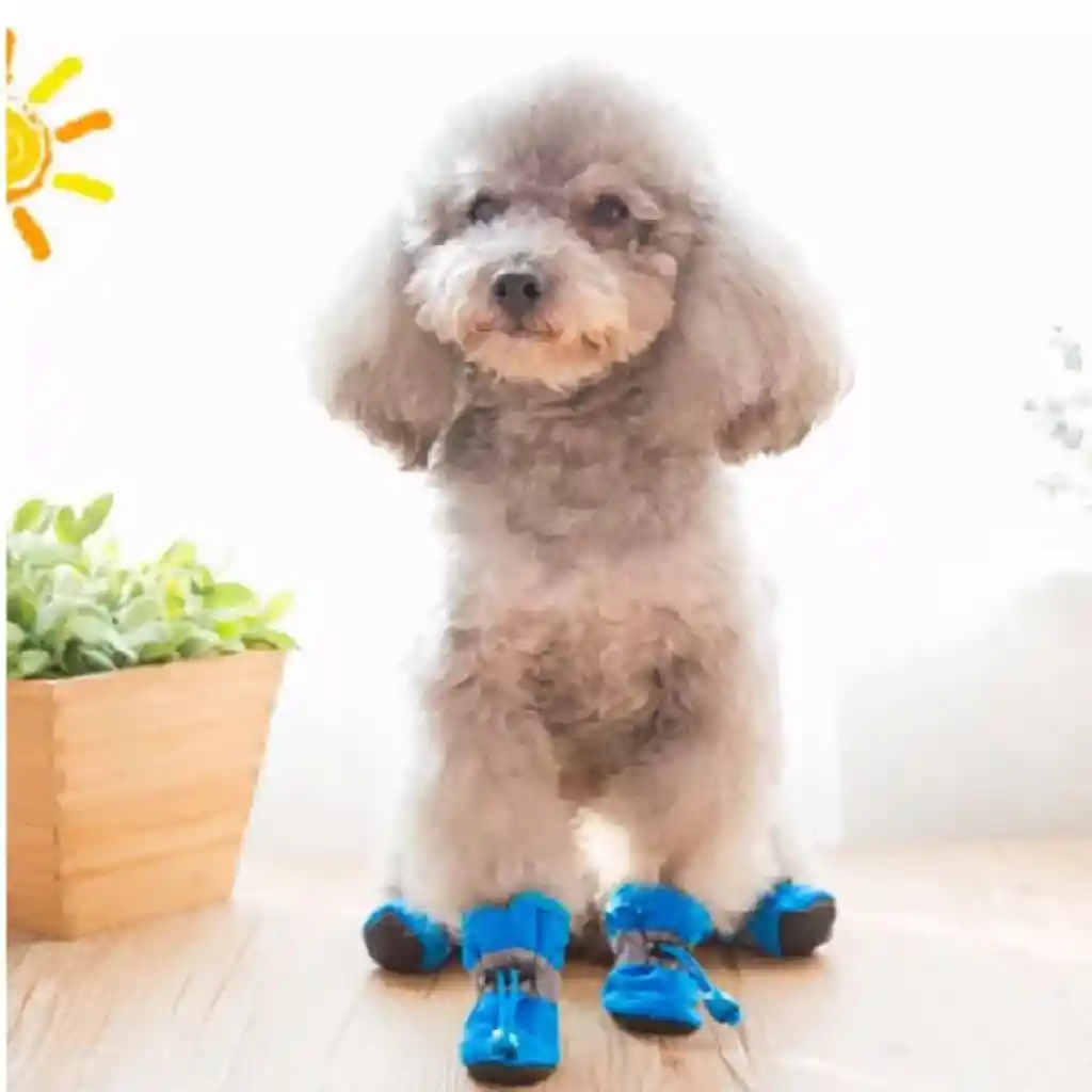 Botas Impermeables Multicolor # 3