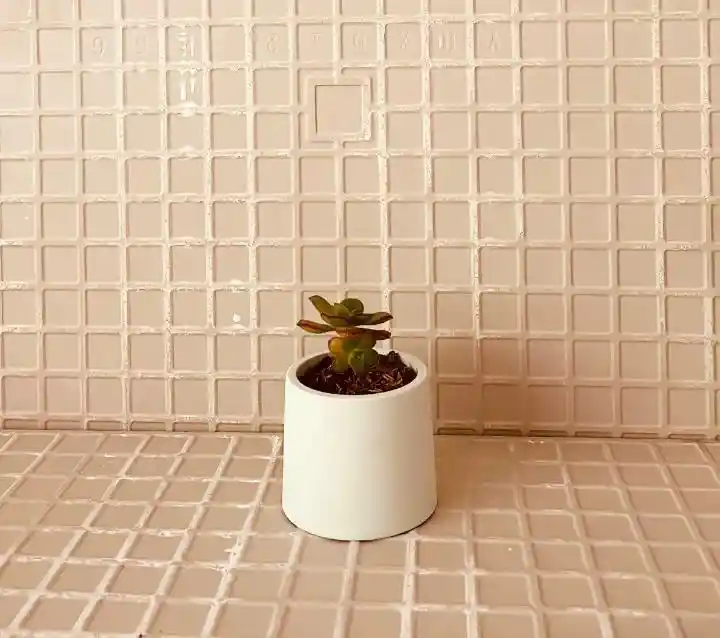 Gec013 Redonda Grande