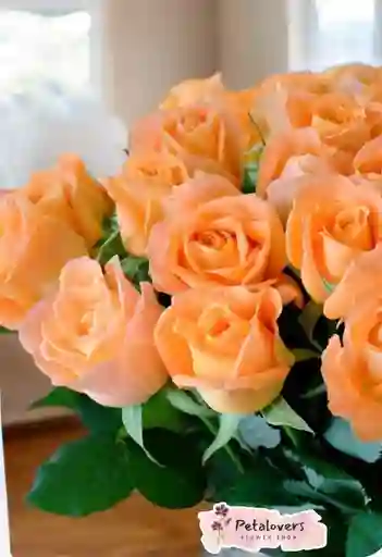 Flores Rosas Salmón