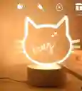 Lampara Diseño Gato Con Escritura