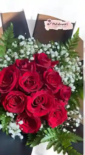 Rosas Rojas Dia De La Mujer