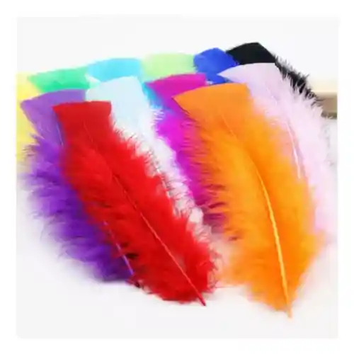 Plumas De Colores