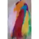 Plumas De Colores