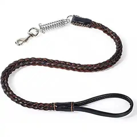 Corra Y Arnes Ref 01477