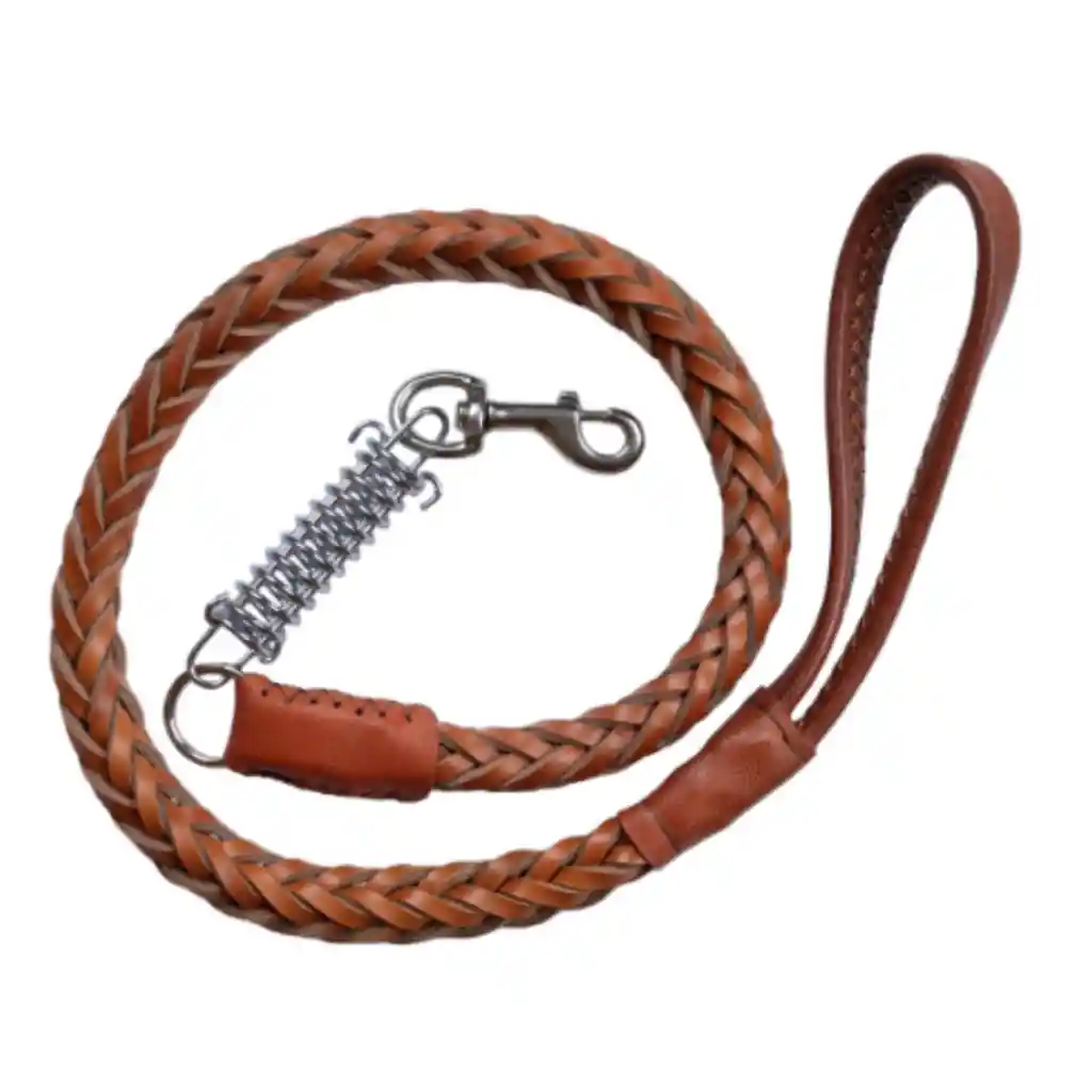 Corra Y Arnes Ref 01477