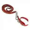 Corra Y Arnes Ref 01477