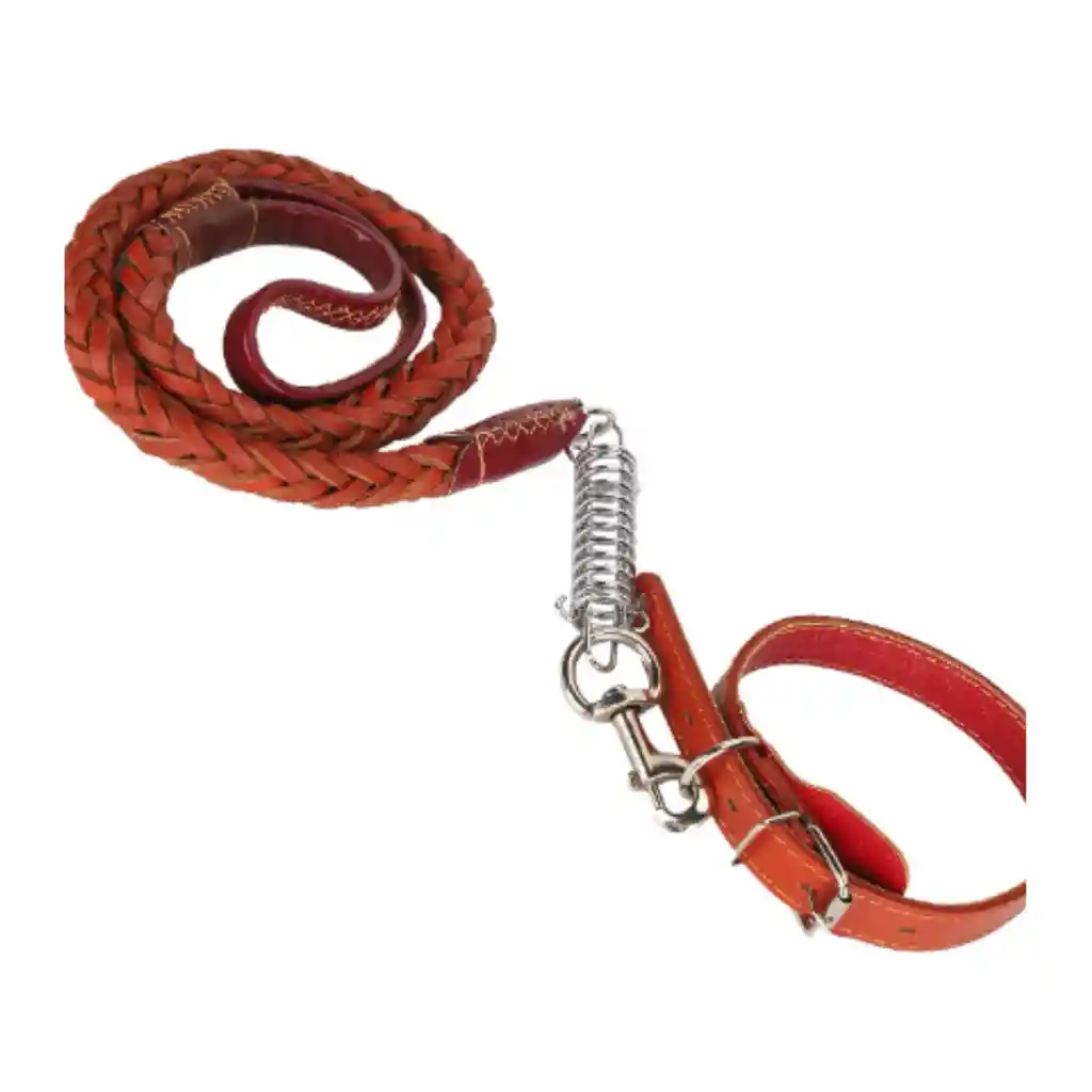 Corra Y Arnes Ref 01477