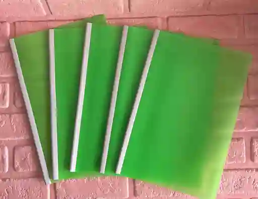 Carpeta Bisel Oficio Verde Neon