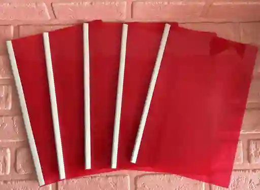 Carpeta Bisel Oficio Roja
