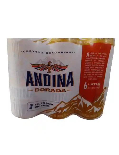 Six Pack Andina Dorada 310ml