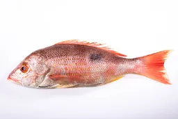 Pargo Rojo Fresco Entero