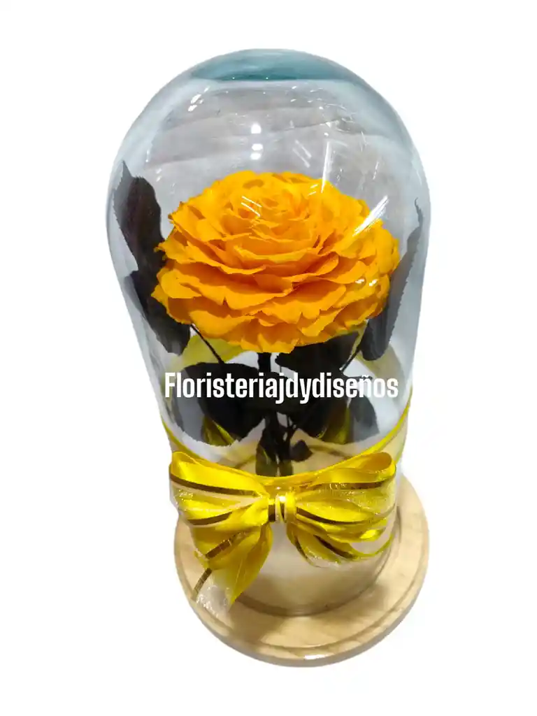 Flor Preservada