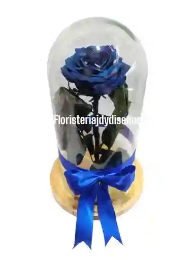 Rosa Preservada