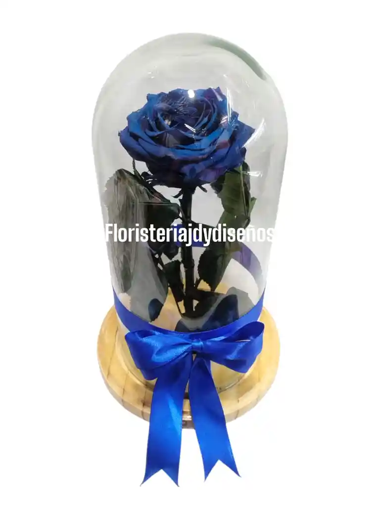 Rosa Preservada