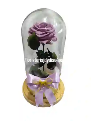 Rosas Preservadas