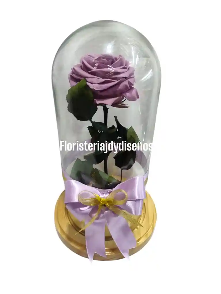 Rosas Preservadas
