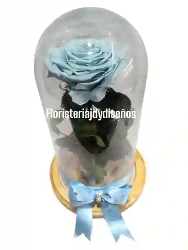Rosa Preservada