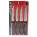 Set De Cuchillos Para Carnes En Acero Profesionales