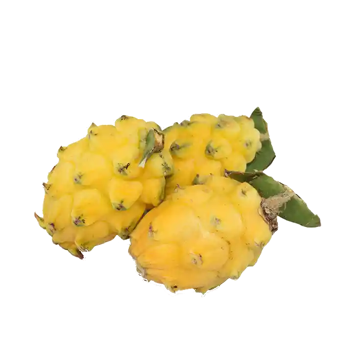 Pitahaya Guineo 500 G