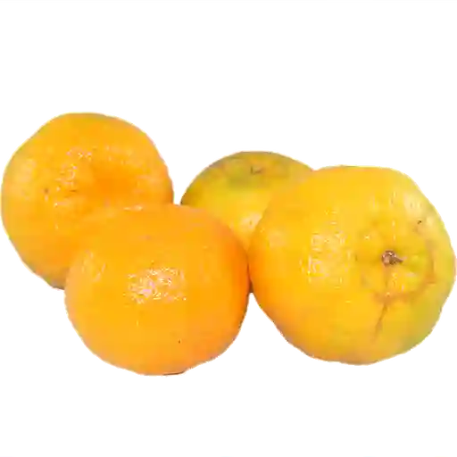 Mandarina Oneco 500 G