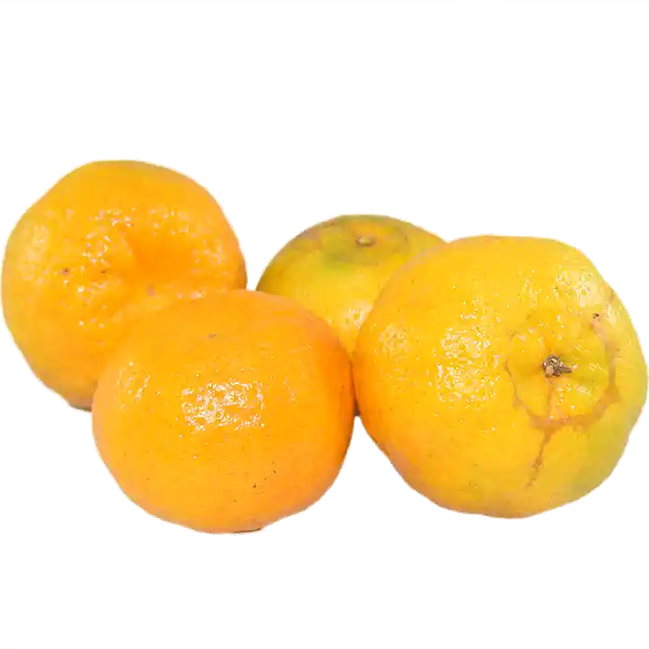 Mandarina Oneco 500 G