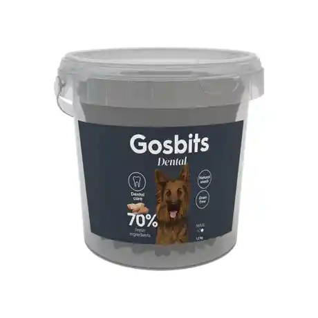 Gosbits Dental Maxi