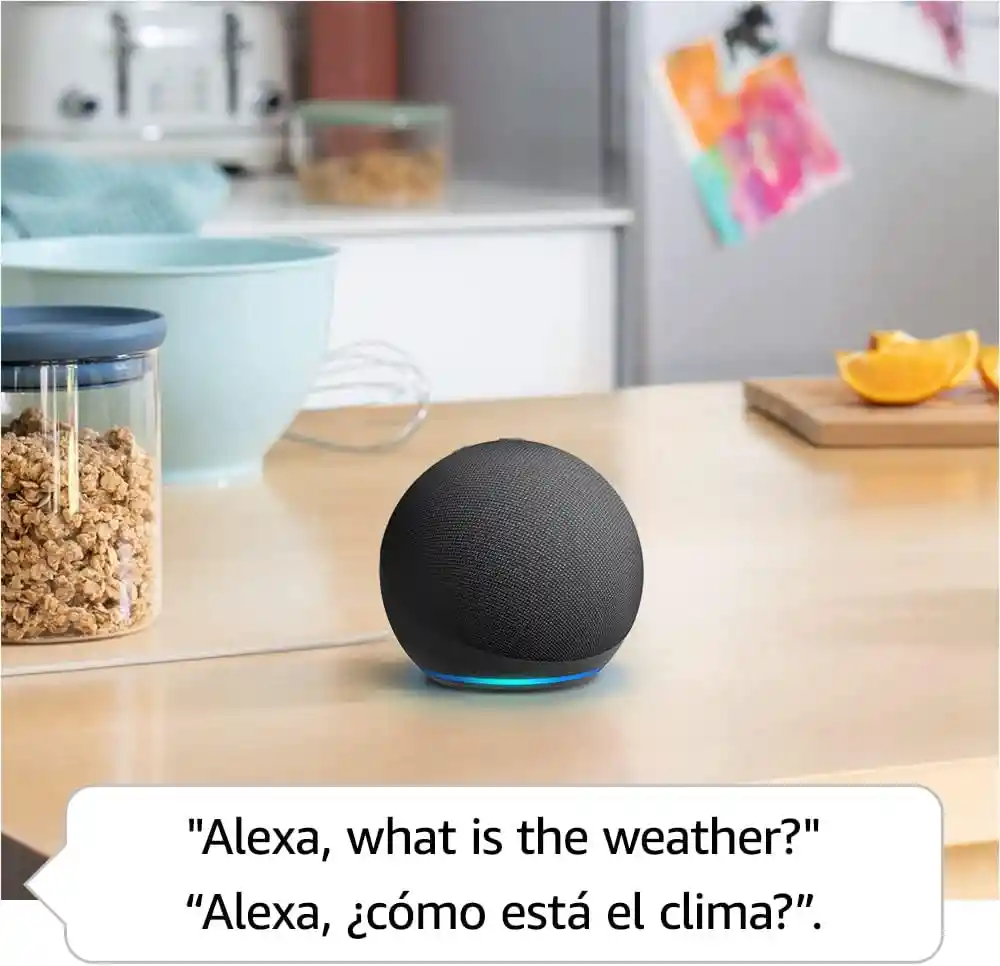 Alexo Echo Dot