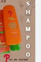 Palplus Shampoo X 400ml Zanahoria/neutro/control Grasa